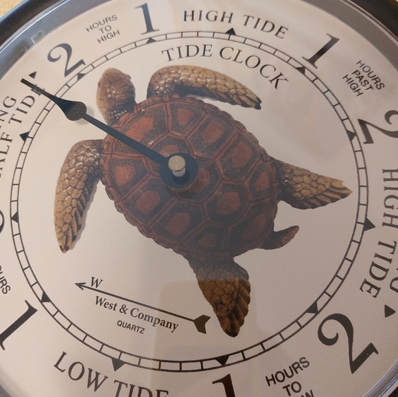 Tide Chart Turtle Clock - Picture 2 of 5